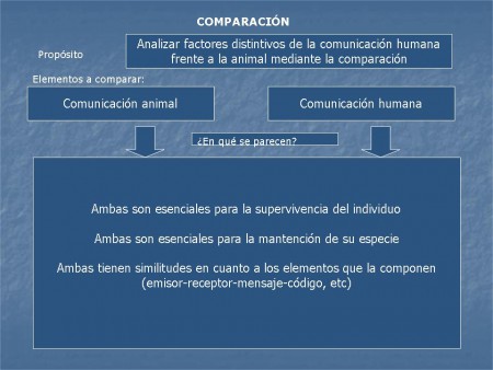 Taller comunicación humana y animal